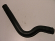Coolant hose (nearest to the frame)